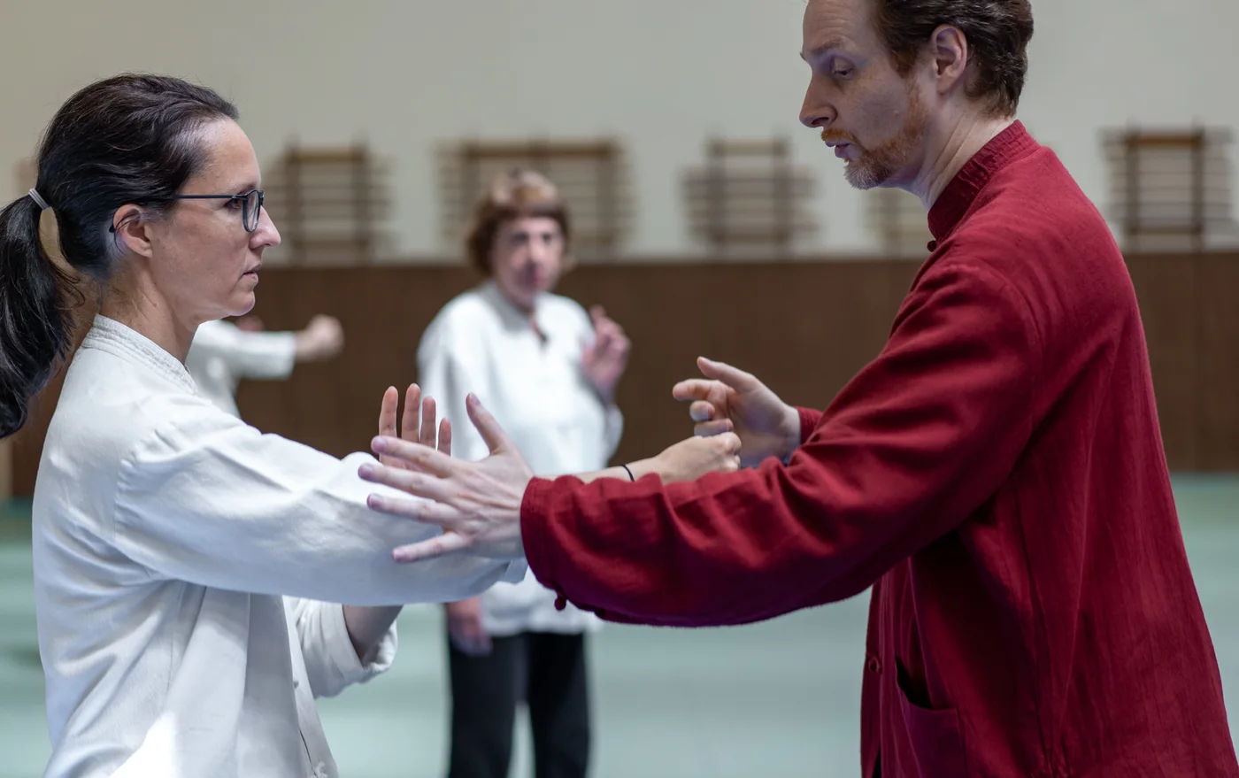 Transmission du geste en Tai Chi — Frédéric Carlini