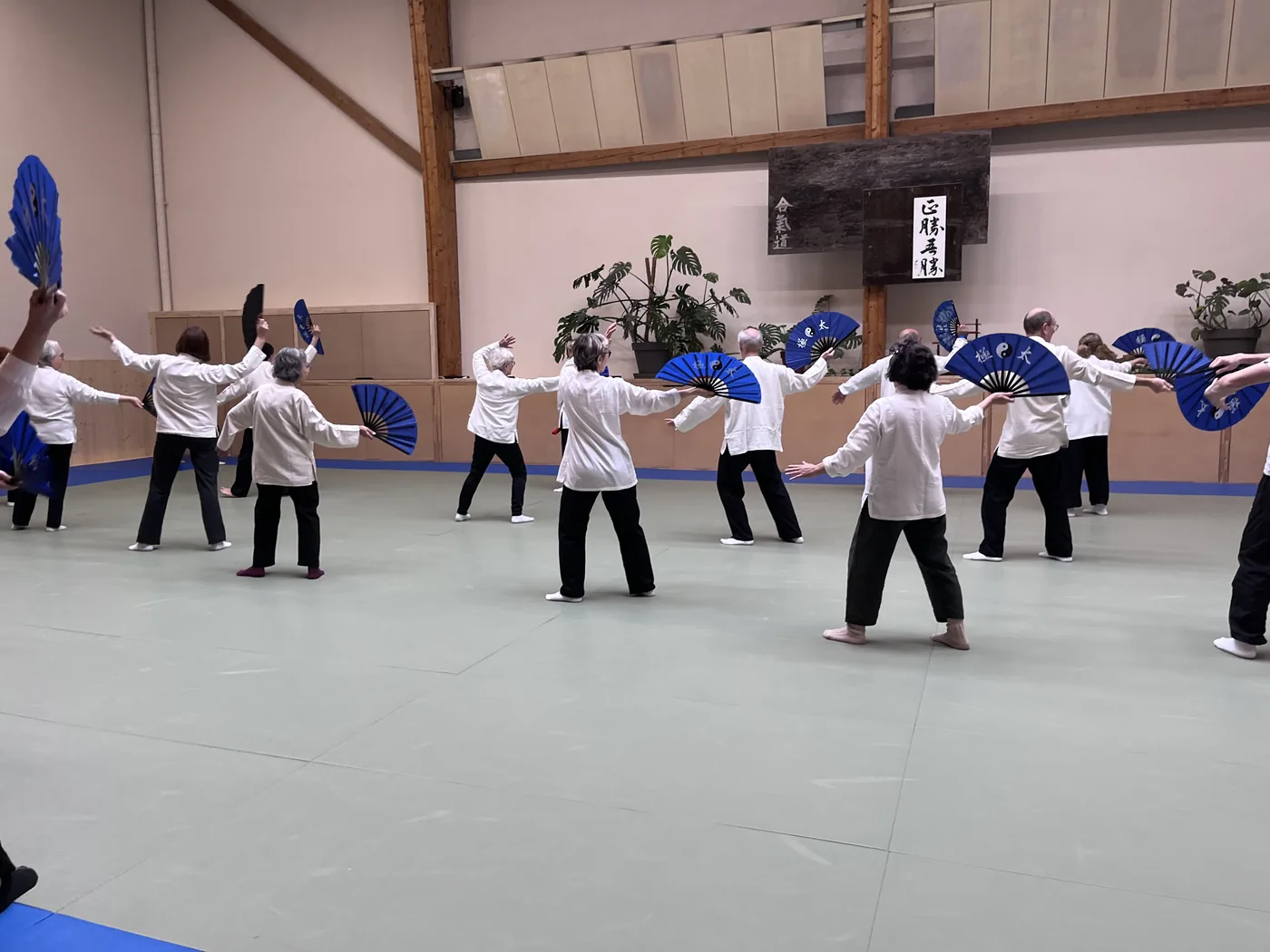 Cours de Tai Chi Chuan avec éventails traditionnels